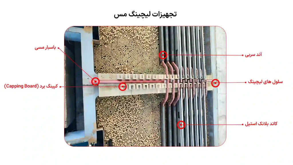 عکس برای برگه آند سربی